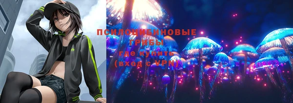 амф Володарск
