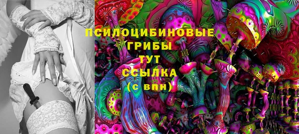 амф Володарск