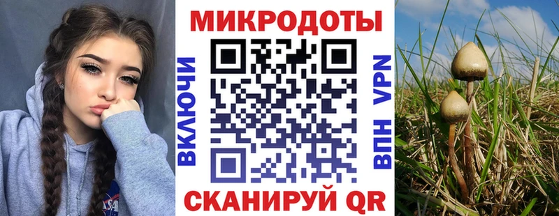 Псилоцибиновые грибы Magic Shrooms  Купить  Кстово 